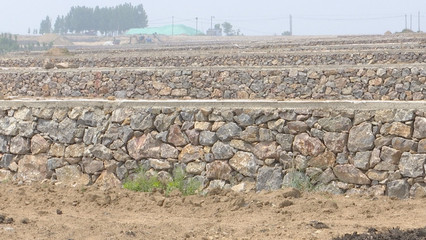 泰安新泰市樓德鎮 土地整理賦能特色產業，繪就鄉村振興新畫卷